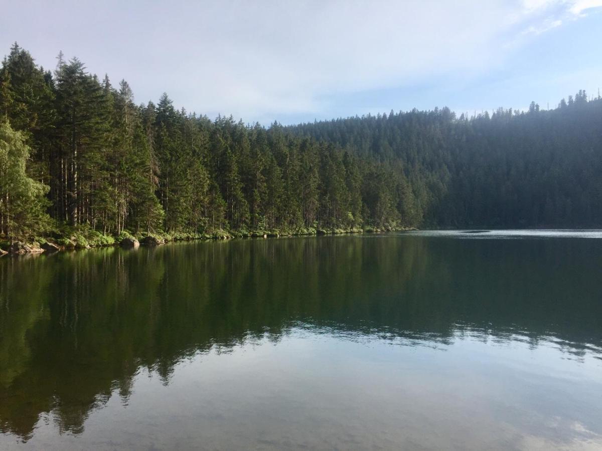 Apartman “U Nas V Podkrovi“ V Rezidenci Klostermann, Zelezna Ruda 24 Экстерьер фото